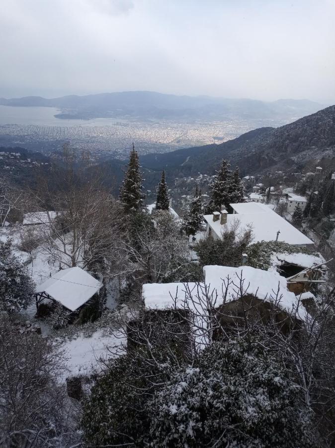 Kirmilis Mansion Apartment Makrinitsa Exterior photo